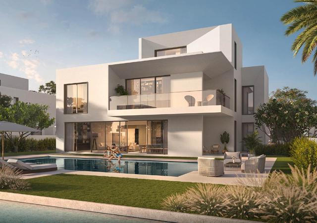 Palmiera - Image 3