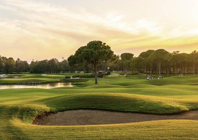 Fairway - Image 3