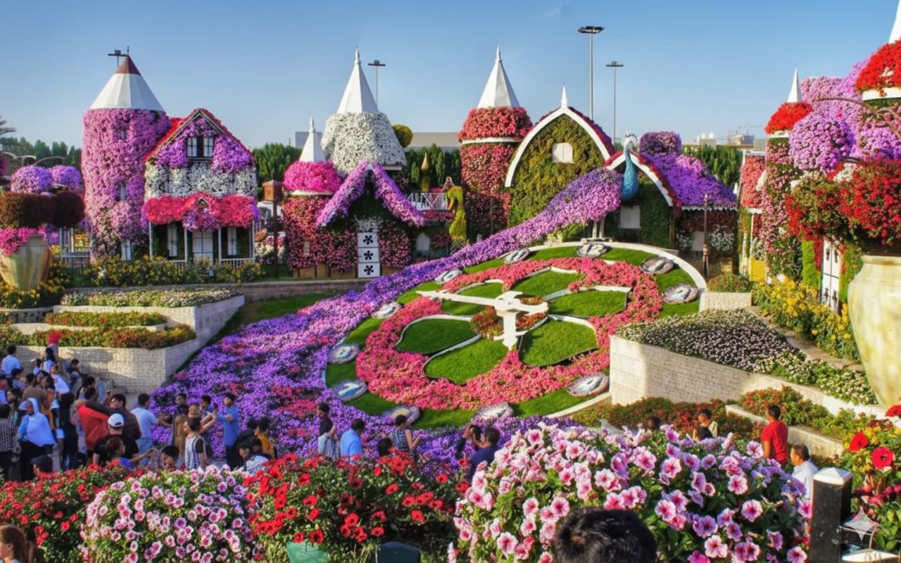 Dubai Miracle Garden Opens Its Doors Again on September 28!